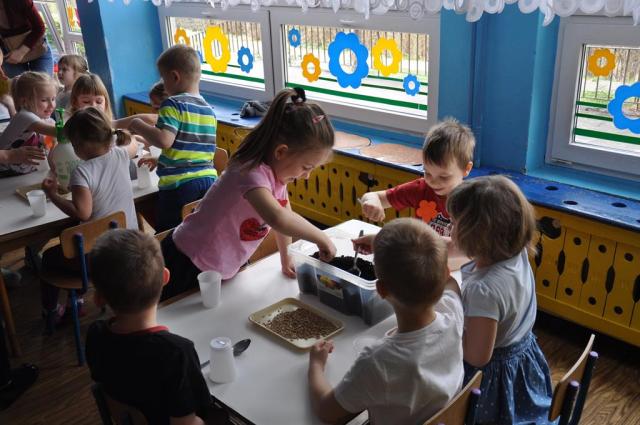 Zajęcia otwarte gr. Muszelki